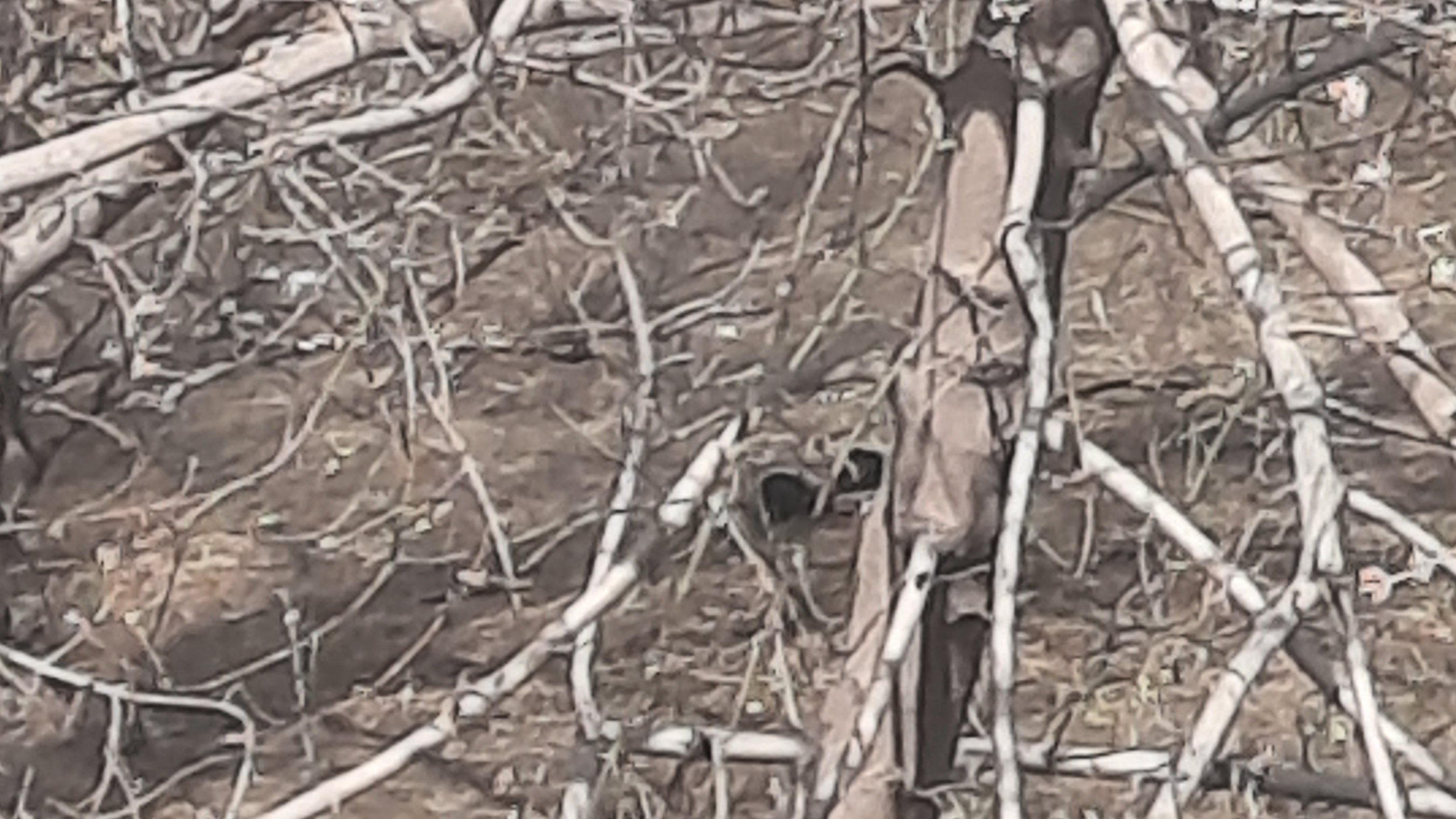 контент! мы нашли наушники и мышку и всё остальное А там связь в наушниках была