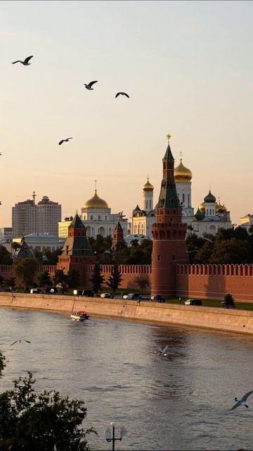Красота Кремля на закате #Москва #Кремль #Природа