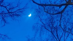 21 апреля магическая 🌟 ночь и  растущая Луна 🌙 🌙 🌒 загадывание свои желания....
