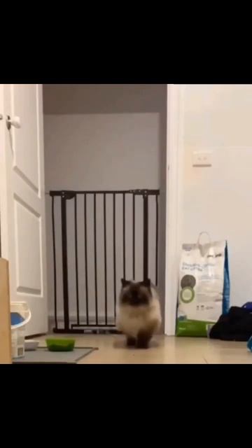 Эффектный прыжок