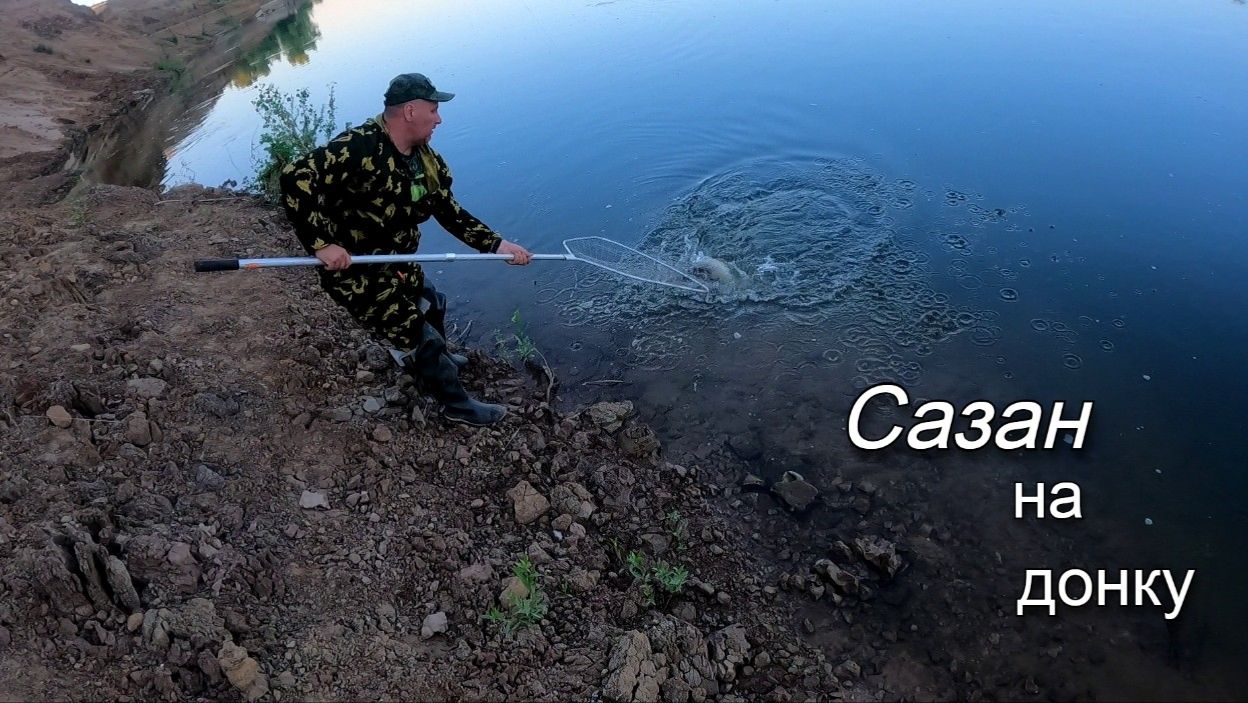 Поймал сазана на макушатник. Рыбалка летом на реке Ахтуба