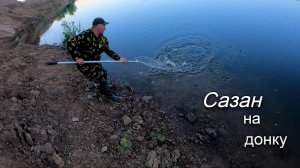Поймал сазана на макушатник. Рыбалка летом на реке Ахтуба