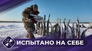 Испытано на себе: Таежная рыбалка