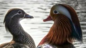 Играем на серваке Ч1