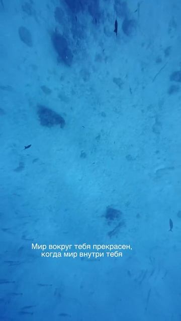 Подробности на моей странице