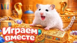 ХОМЯК ВЫБИРАЕТСЯ ИЗ СЕКРЕТНОЙ ХОМЯЧЕЙ ТЮРЬМЫ ! Играем ВМЕСТЕ №2 Помогаем выбраться из лабиринта