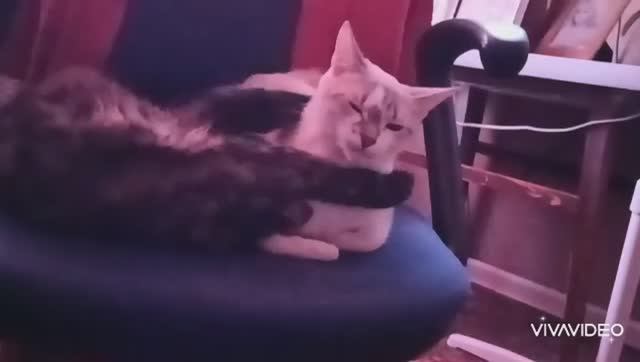 ДАЙ Я ОБНИМУ ТЕБЯ !