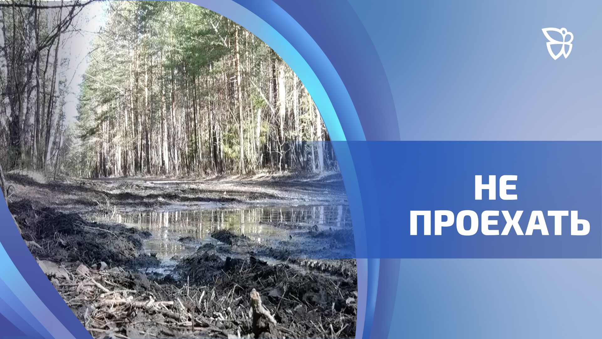 Тагильские садоводы борются со стихией