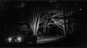 ТАЙГА. Бандиты думали, что тайга ИХ... ПОКА НЕ ВСТРЕТИЛИ ЕГЕРЯ.