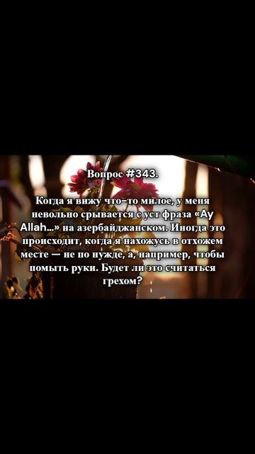 #раминмуталлим  #вопросответ  #shorts