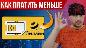 Как платить меньше за мобильную связь в Билайн | Лайфхак от Санчеса