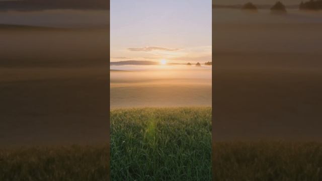 Медитация настройка. ТЫ ЛЮБИМ(А) на ЗЕМЛЕ