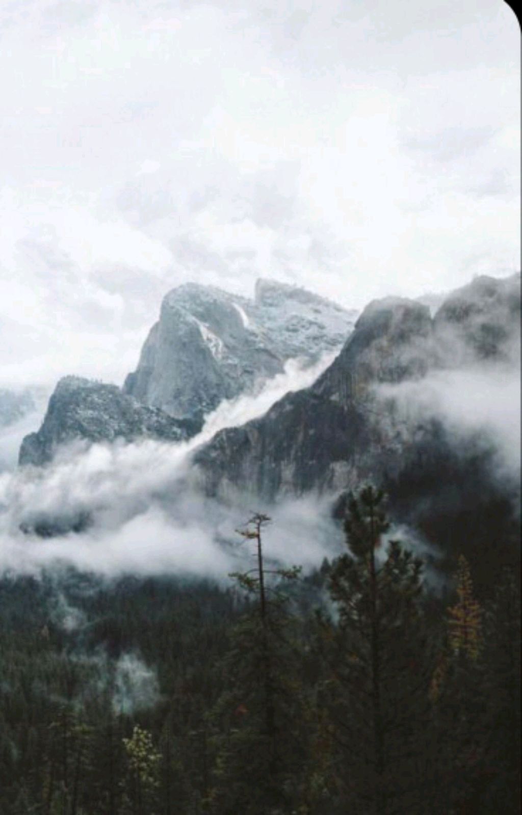 Обсуждение песни 