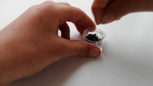 VID_20260420_182938.mp4