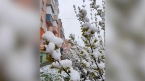 Весна преподносит сюрпризы жителям разных российских регионов.