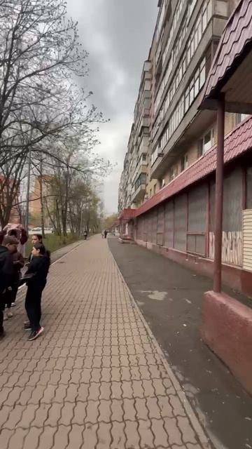 Обзорное Химки