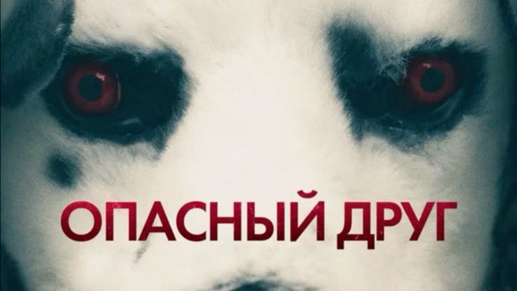 Смотрим ужастик «Опасный друг».