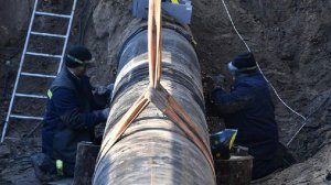В Венгрии подтвердили возобновление поставок нефти по «Дружбе» 21 апреля