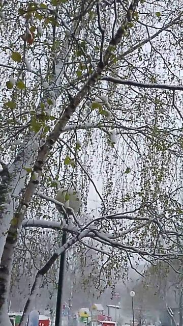 снег в апреле.mp4