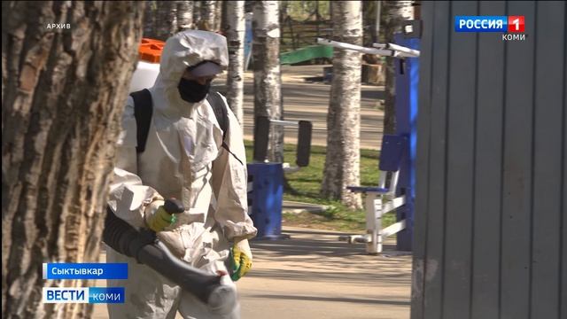 В Сыктывкаре из-за ранней весны обработка общественных территорий от клещей начнётся раньше