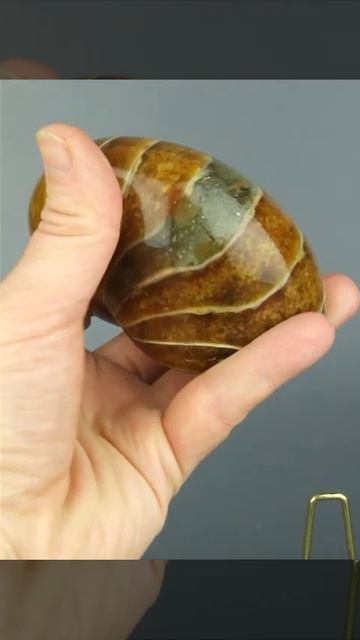 Наутилус 1291