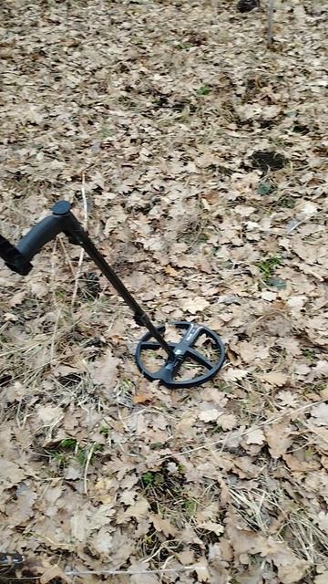 Коп с Legend 2 и XP Deus