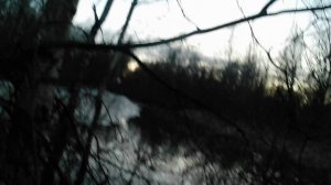 Охота на селезня. Апрель 2026 г.