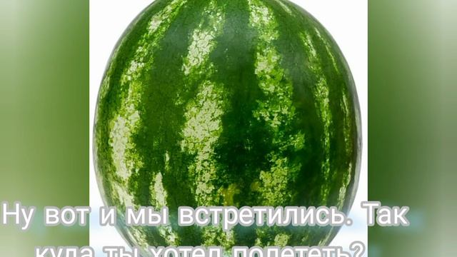 Новые мемы про арбузы 2026 года 21 апреля.