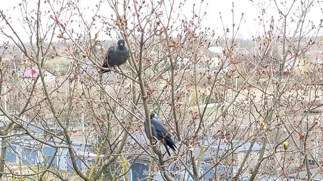 Вечерний марафет👍👍👍