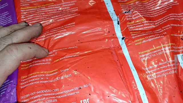 Посев огурцов на рассаду 21.04.26