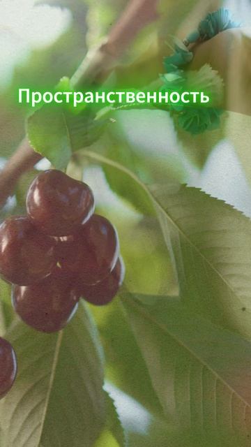 Пространственность. Качество энергии дня 21.04.2026