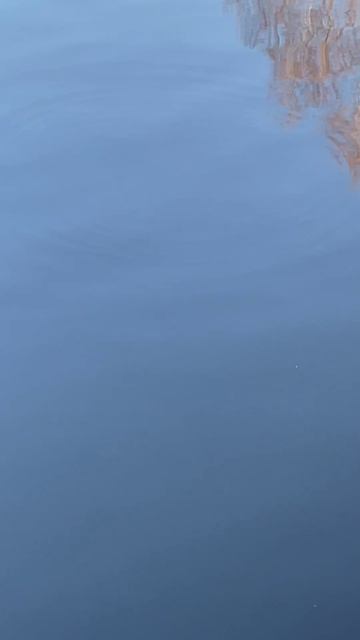 Сезон 2026 открыт ! ! !