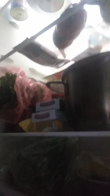 VID_20260421_132307.mp4