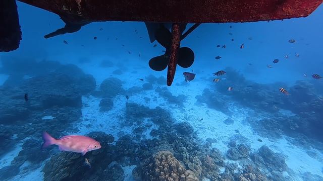 Андаманское море