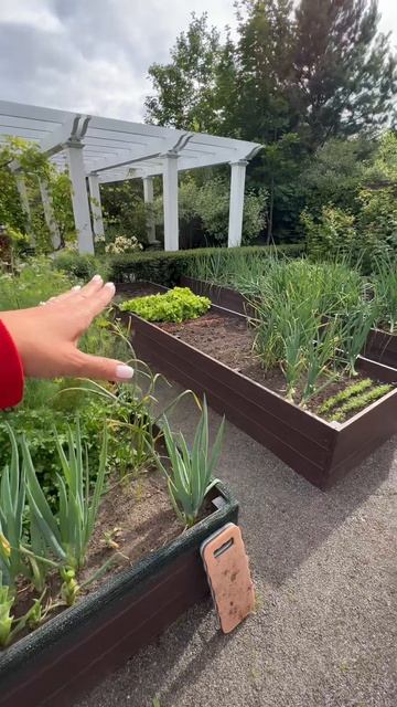 Маленький (всего 112 м²), но очень эффективный огород в КП 