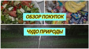 Обзор покупок / Обалдеть, такого еще не было в апреле / Погода на Урале