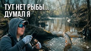 ВЫТАЩИЛ ИЗ-ПОД БРЕВНА и ОНЕМЕЛ! Мормышинг на Заброшенной городской микро-речке.