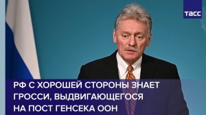 Песков: РФ с хорошей стороны знает Гросси, выдвигающегося на пост генсека ООН