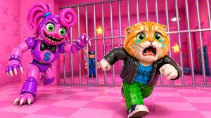 ПОБЕГ ОТ РОЗОВОЙ МАМЫ! ТЮРЬМА ДЕТСКИЙ САДИК ПОППИ ПЛЕЙТАЙМ ДЛЯ КОТА ПЕРСИКА!