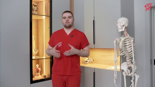 Основные жалобы при нарушениях диафрагм тела | Целебное Прикосновение