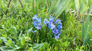 Моё новое интро