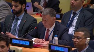 Выступление А.А.Панкина на Форуме ЭКОСОС по финансированию развития