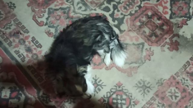 21,22 февраля 2024 г.Мой дом.Продолжаю делать стенку из камня.