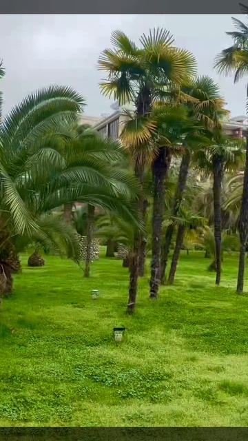 Парк Ривьера Сочи прогулка по парку