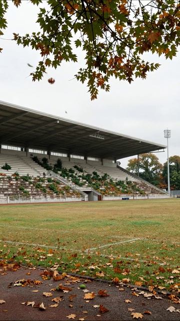 Старый стадион осенью: забытые моменты #стадион #осень #природа