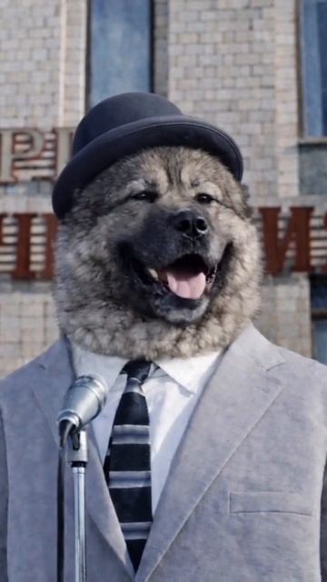 СМЕШНО И ТОЧКА