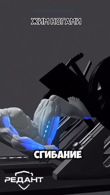 Хочешь ноги, которые выглядят мощно с любого ракурса?🦵