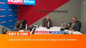 Нашествие слизней  на крымских огородах новый вселенец