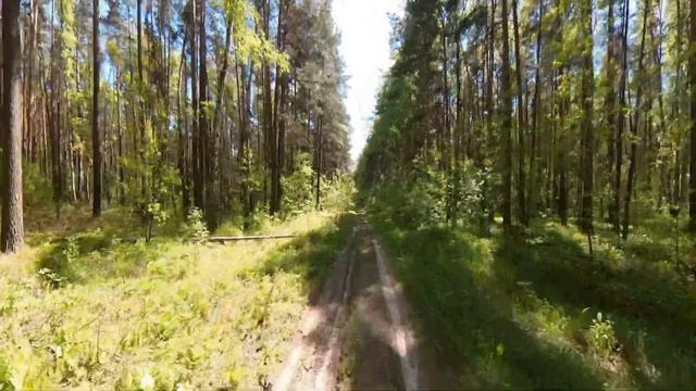 Майская велопрогулка, Новосибирск, 2024