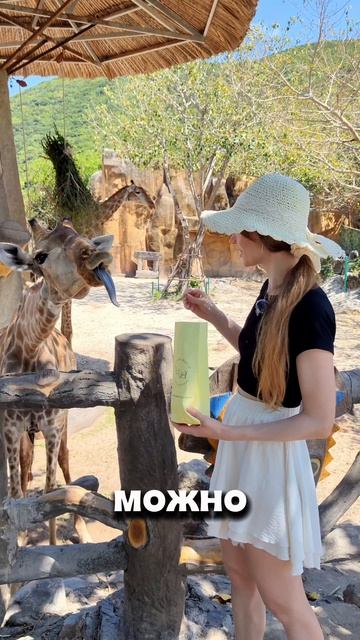 Остров #винперл